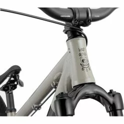 Cannondale Dave Grau 7 Cannondale Dave Grau -Fahrrad Verkäufe cannondale dave stealth grey 4