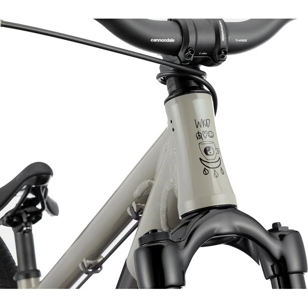 Cannondale Dave Grau 4 Cannondale Dave Grau – Bild 4