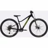Cannondale Trail 26" Jugend Schwarz