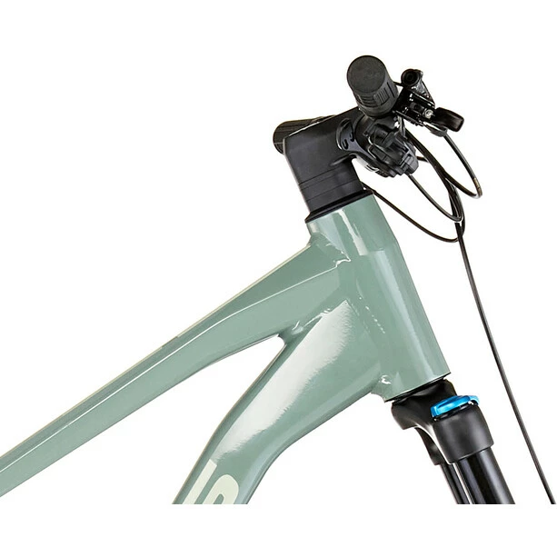 FOCUS Thron 6.9 Grün 4 FOCUS Thron 6.9 Grün – Bild 4