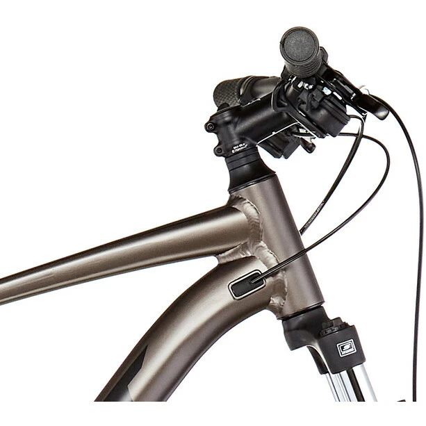 Giant Talon 4 Grau 3 Giant Talon 4 Grau – Bild 3