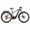HAIBIKE Trekking 10 Diamant Grau