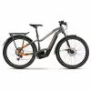 HAIBIKE Trekking 10 Trapez Grau