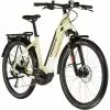 HAIBIKE Trekking 4 Low-Step Beige/grau
