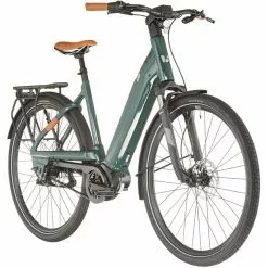 Liv Allure E+ 1 Damen Grün