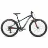 Orbea MX XC 24" Kinder Blau