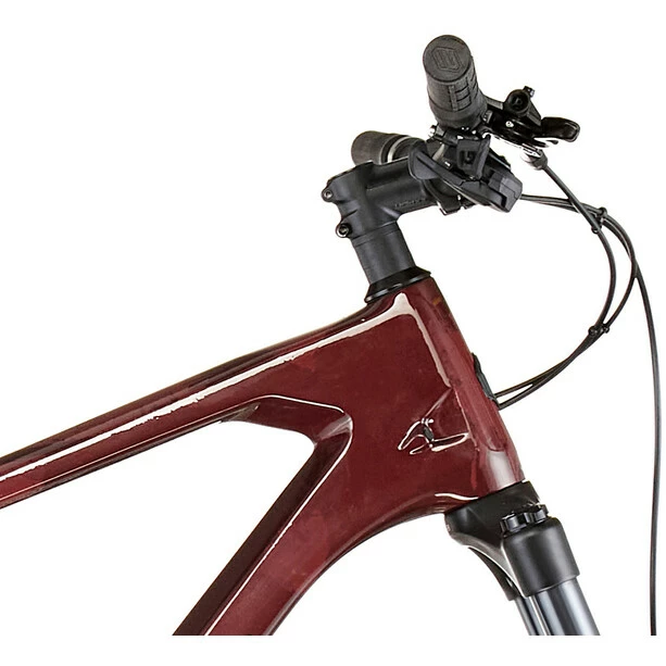 Polygon Syncline C3 Braun 4 Polygon Syncline C3 Braun – Bild 4