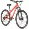 Serious Superlite 24" Disc Kinder Rot