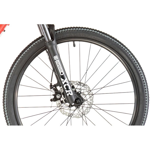 Serious Superlite 24" Disc Kinder Rot 5 Serious Superlite 24" Disc Kinder Rot – Bild 5