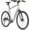 Trek Dual Sport+ 2 Grau