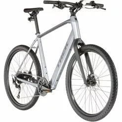 Trek Dual Sport+ 2 Grau