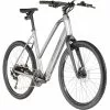 Trek Dual Sport+ 2 Stagger Grau