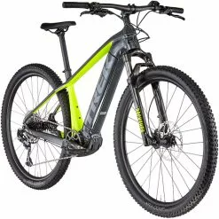 Trek Powerfly 5 Grau/gelb