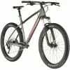 Trek Roscoe 6 Grau