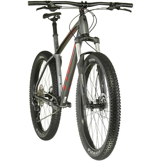 Trek Roscoe 6 Grau 3 Trek Roscoe 6 Grau – Bild 3