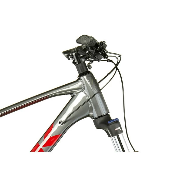 Trek Roscoe 6 Grau 4 Trek Roscoe 6 Grau – Bild 4