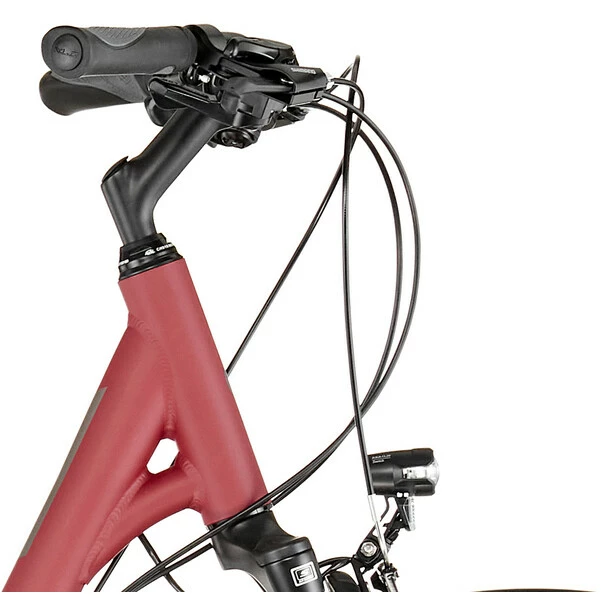 Winora Domingo 21 Wave Rot 4 Winora Domingo 21 Wave Rot – Bild 4